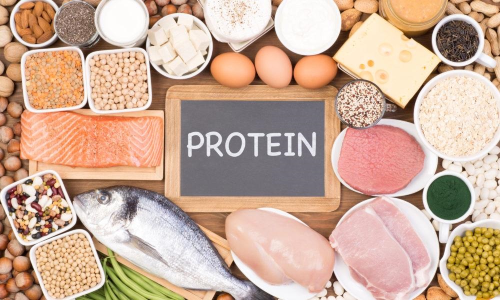 Proteins – Chemical Basis of LifeProteins –